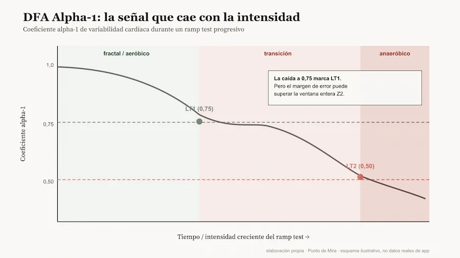 Esquema ilustrativo del coeficiente DFA Alpha-1 cayendo de 1,0 a 0,75 y hacia 0,50 conforme aumenta la intensidad del esfuerzo